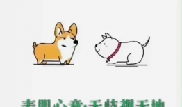 吃瓜爆料普通话搞笑,吃瓜群众爆笑爆料大集合